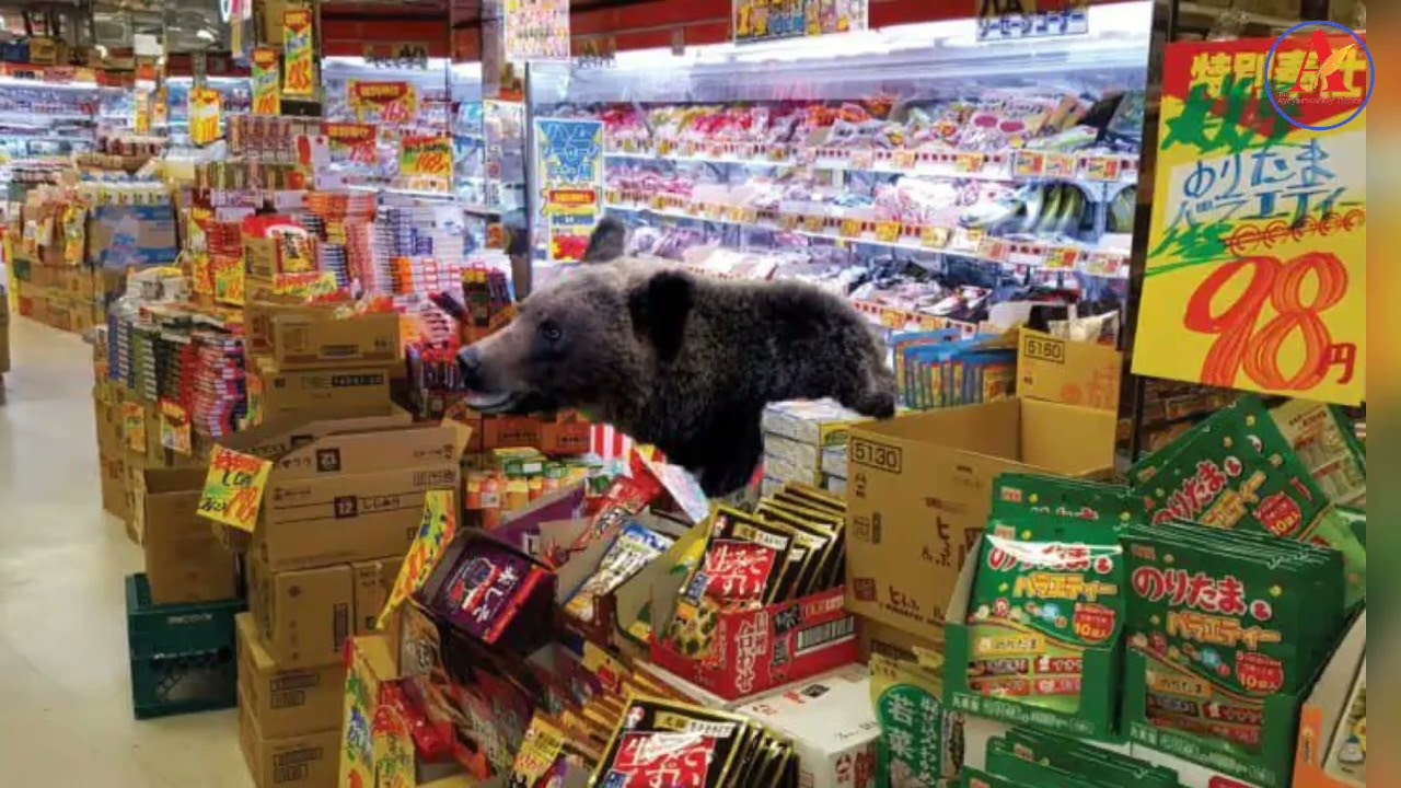 သွင်းကုန်ပိတ်ဆို့မှုကြောင့် စားသောက်ကုန်နှင့် လူသုံးကုန်ပစ္စည်းများ လနှင့်ချီကြာ ပြတ်လပ်နေ