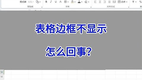 Excel表格的边框不显示，怎么回事？#wps #excel #办公技巧 #电脑