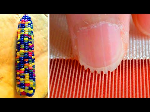 5 რამ, რასაც ცხოვრებაში პირველად ნახავთ.