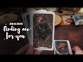 Animal themed tarot decks, finding one for you