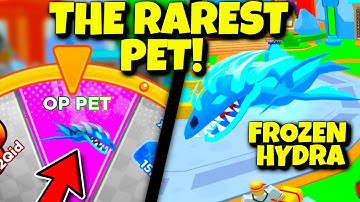 The RAREST And BIGGEST Pet In The Game! Sword Fighters Simulator Roblox