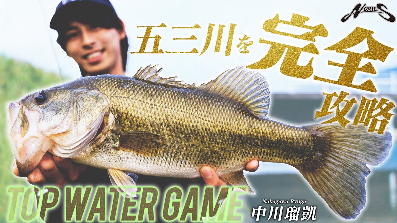 ★Fishing Life★プロフ必読 A record of several months of a complete beginner's quest