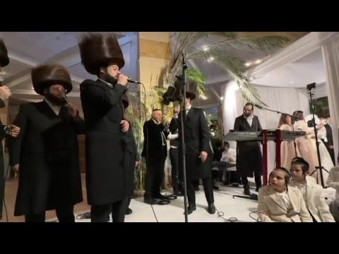 שלוימי גרטנר & מוטי ויזל & יענקי לנדא ותזמורתו & מקהלת מלכות בחופה מרגשת #livemusic