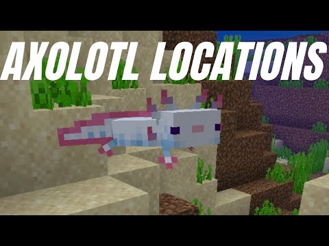 How To Find And Get An Axolotl In Minecraft 1.17 On All Platforms, Bedrock and Java Edition