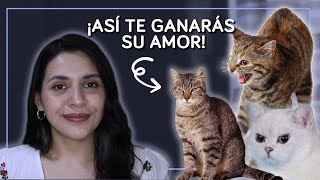 Como hacer que tu GATO te AME | Selena Mendivil by Selena Mendivil 248 views 1 year ago 5 minutes, 45 seconds