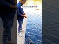Machli hi machli #shortsvideo #machli #fish #viralvideo #fishinglife
