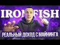 🔴 РЕАЛЬНЫЙ ДОХОД С МАЙНИНГА IRON FISH 🔴 ЛУЧШИЙ МАЙНЕР ДЛЯ AMD 🔴 НАСТРОЙКИ