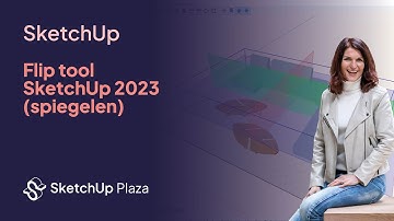 SketchUp 2023 Flip Tool