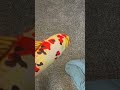 Invincible edits be like #vr #funny #bored