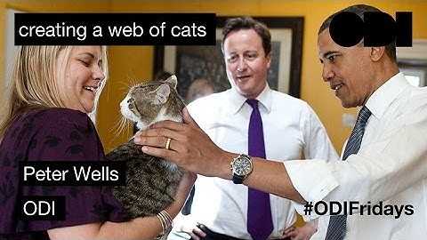ODI Friday Lunchtime Lecture: Creating a Web of Cats