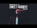 Robin Schulz Sweet Goodbye DISCO S HIT Remix mp3