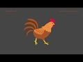 Rooster 2d  rig  animation  unity 2d