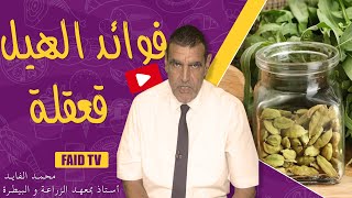 قعقلة منكه الطبخ المغربي | الدكتور فائد