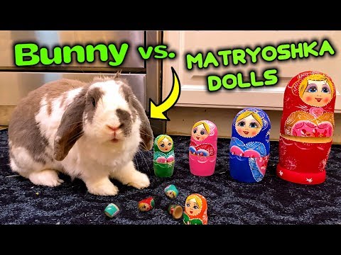 rabbit nesting dolls