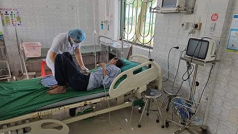 Đán Dầu anh Phúc đã vào viện em Đồn gà H.mong đã ngon. Nguyễn Tất Thắng