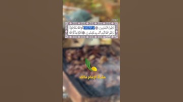 تلاوة مختارة من سورة المائدة || يا ايها الذين امنوا لا تحرموا طيبات ما احل الله لكم ولا تعتدوا