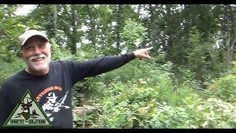 HS360,LLC Part two deer steering trails and corridors in TSI woodlots.