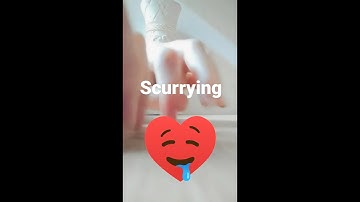 ASMR Fast and Aggressive Floor Tapping, Scurrying ✨💖🤤♥️ #asmr #asmrvideo #asmrsounds