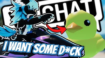 Furry VRChat in a Nutshell 12