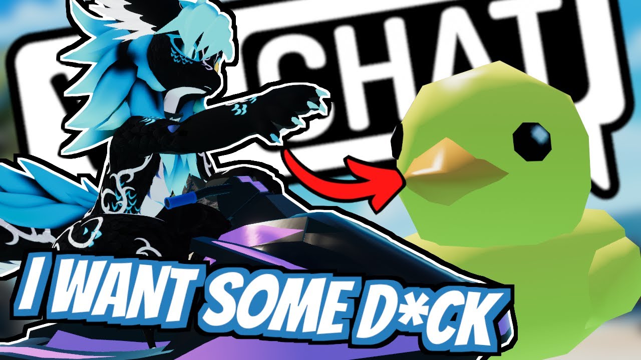 Furry VRChat in a Nutshell 12