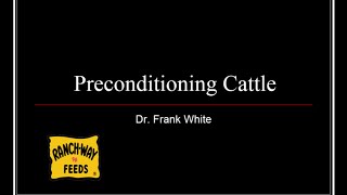 Preconditioning and Backgrounding Cattle Webinar w/ Dr. Frank White
