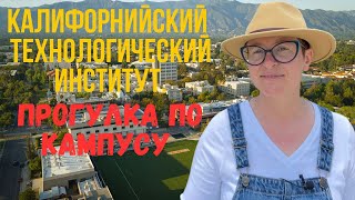 Калифорнийский Технологический Институт