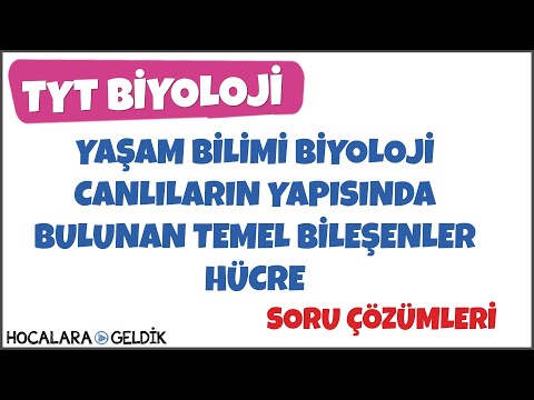 Yaşam Bilimi Biyoloji, Canlıların Yapısında Bulunan Bileşenler Hücre, Soru Çözümleri