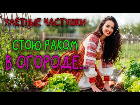 СТОЮ РАКОМ В ОГОРОДЕ Стихи Михаила Кацовского Эх ГУЛЯЙ ДУША