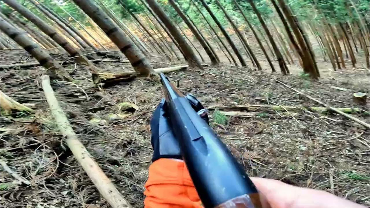 【閲覧注意】巻狩り YouTube