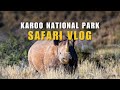 Secret Hidden Gem in the Desert | Safari in the Karoo of South Africa