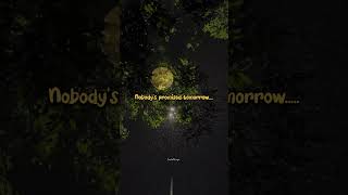 Die With A Smile - Bruno Mars Lady Gaga Slowed Reverb 4K Edit