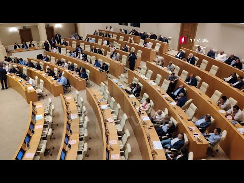 პარლამენტის პლენარულ სხდომაზე ნიკა მელიასთვის იმუნიტეტის მოხსნაზე მსჯელობენ #LIVE