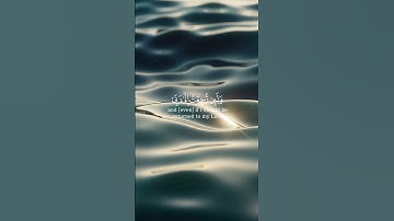 لا يسأم الإنسان من دعاء الخير ايات قرانية ماهر المعيقلي سورة فصلت قران