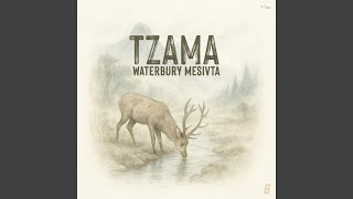 Tzama (feat. EKEV) chords