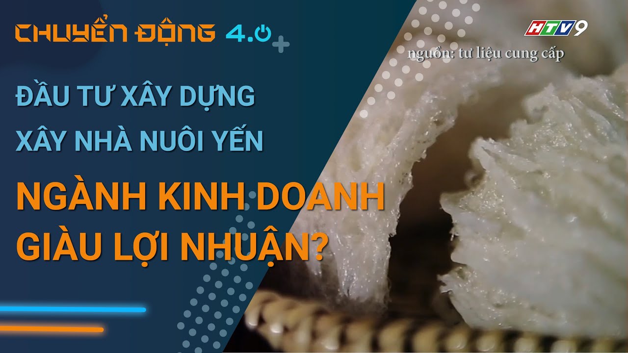 Đầu tư xây nhà nuôi yến có phải là ngành kinh doanh giàu lợi nhuận ...