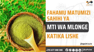 Fahamu matumizi sahihi ya mti wa Mlonge katika lishe