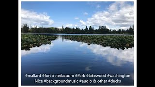 #mallard #fort #steilacoom #Park #lakewood #washington Nice #backgroundmusic #audio & other #ducks