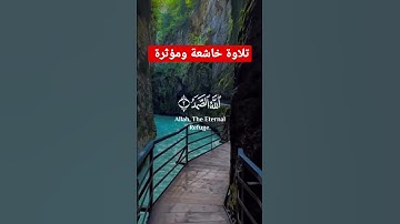 تلاوة خاشعة ومؤثرة #تلاوة_مميزة #القرآن_الكريم #instagram #سورة_الكهف #reels #تلاوة_خاشعة #religion