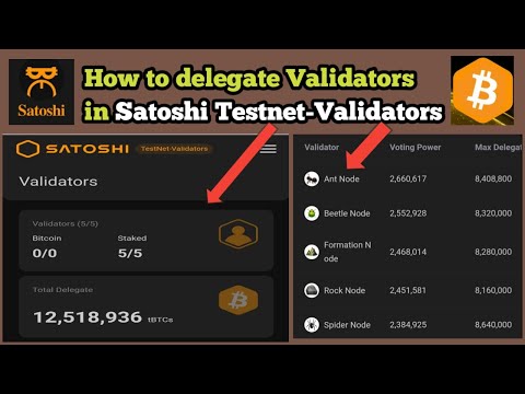 How to connect Metamask wallet to Satoshi Testnet | How to delegate Satoshi Validator Testnet