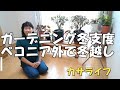 【ガーデニング】冬支度ベゴニア外で冬越しに挑戦