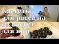 СУПЕР кассеты для РАССАДЫ своими руками! // DIY SUPER cassettes for seeds starting