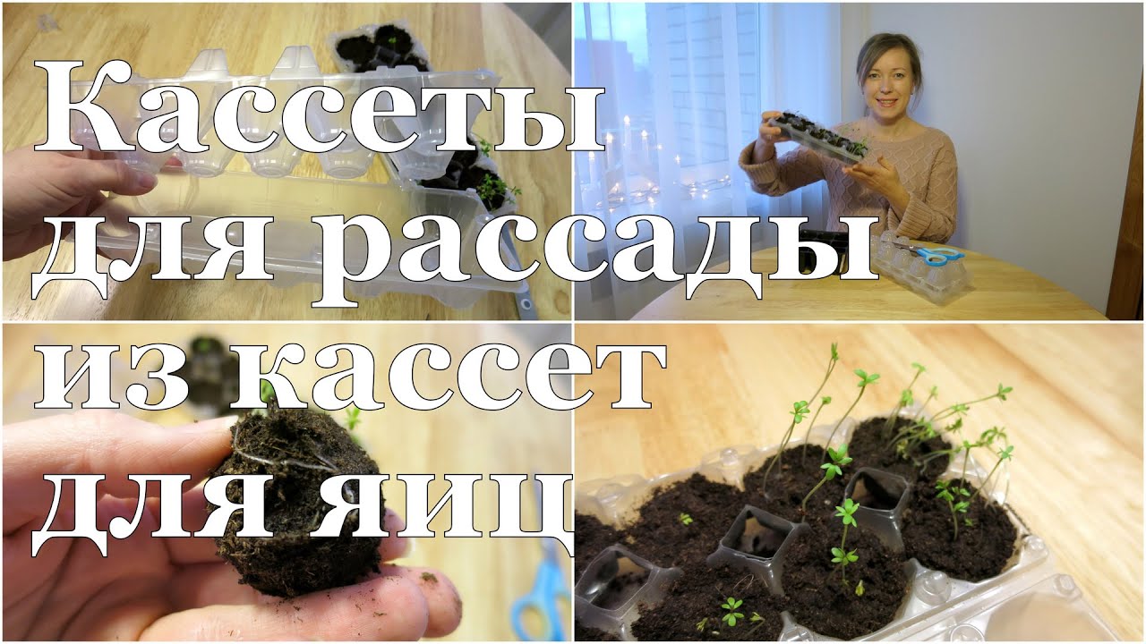 ⁣СУПЕР кассеты для РАССАДЫ своими руками! // DIY SUPER cassettes for seeds starting