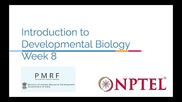Introduction to Developmental Biology Week 8 (2025)