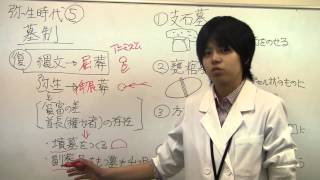【日本史】弥生⑤墓制(伸展葬、支石墓)