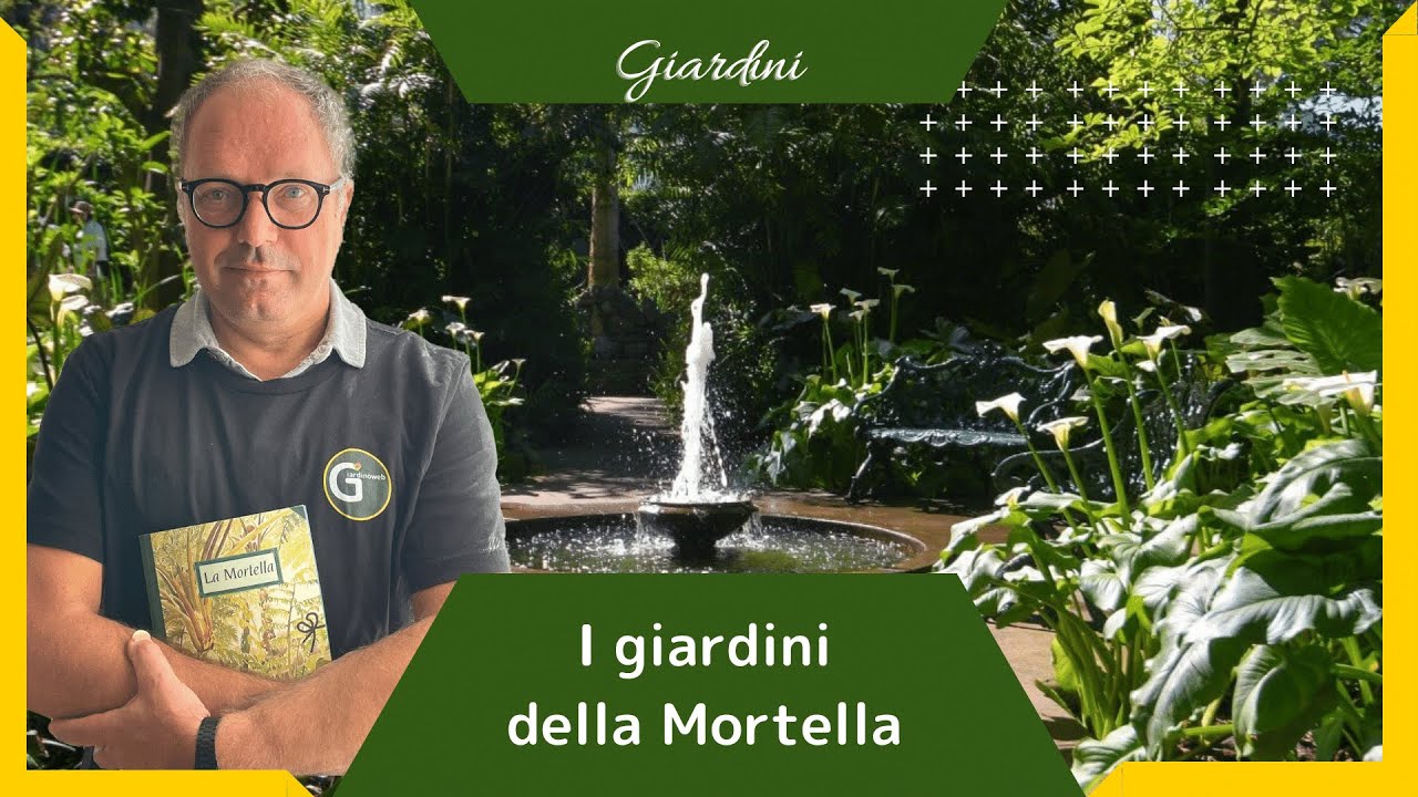 I giardini della Mortella ad Ischia