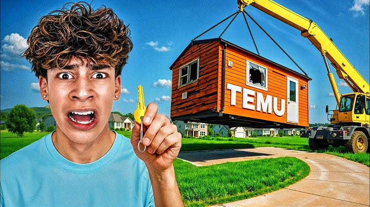 I Bought a REAL House from TEMU… and This Happened! 🏡😱