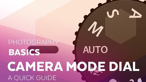 Photography Basics: Understanding your DSLR Camera Mode Dial