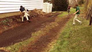 Outsiders Fight Scene