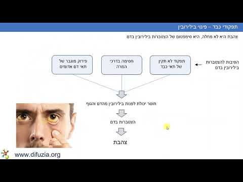 בדיקת תיפקודי כבד - הצטברות בילירובין בדם | דיפוזיה קורסים