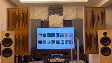 CSS audio 2TDX - voice